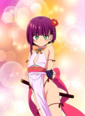 好色の忠義くノ一ぼたん 其の弍［田辺京］｜メディアバンク｜貧乳・微乳
